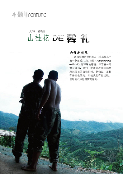 本期专题栏目