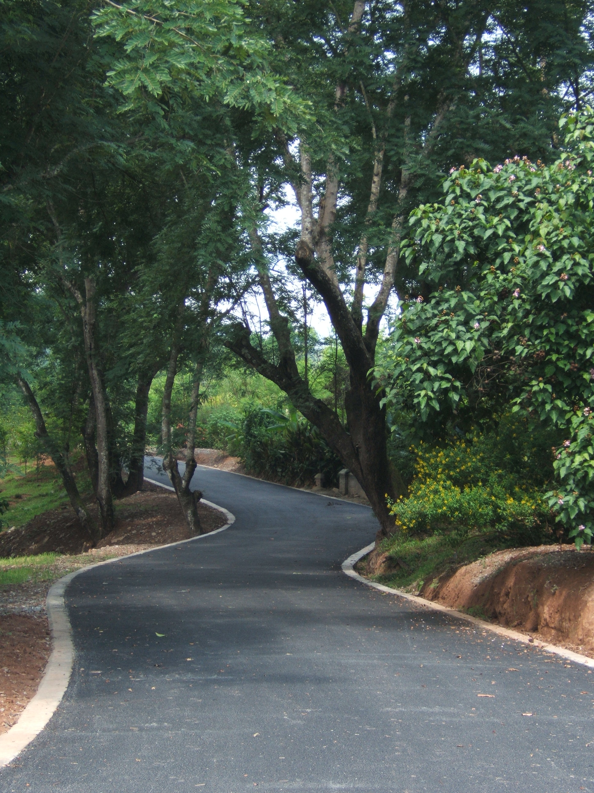 我园西园区环江道路建设竣工