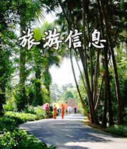 旅游服务