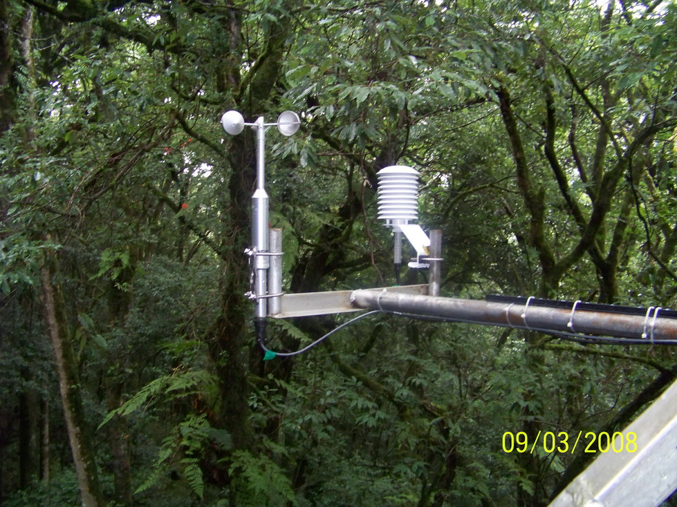 设置的7层风温湿小气候垂直观测系统和6层杆PAR观测系统